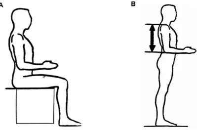 Figure 2.9: Standardized position for anthropometric measurements: A. Upper leg length measurement