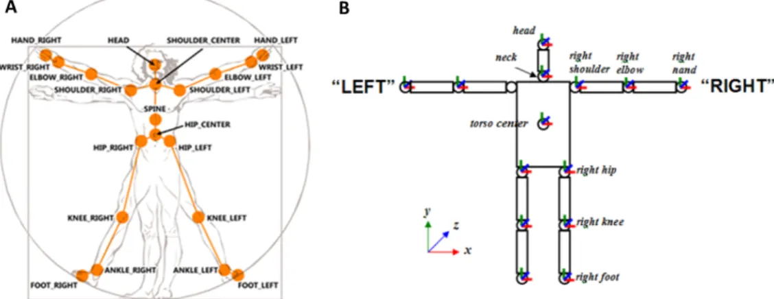 Figure 2.12: Skeletal joints extracted from the Microsoft Kinect depth images: A. Joints from KinectSDK (From [21])