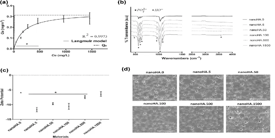 Fig. 1.  Characterization  of  CHX-loaded  nanoHA  discs:  (a)  Adsorption  isotherm  of  CHX  into  nanoHA  discs,  plotted  as  the  CHX  mass  adsorbed per unit area of nanoHA discs ( Qe, mg/m2) versus final equilibrium concentration of CHX in solution 
