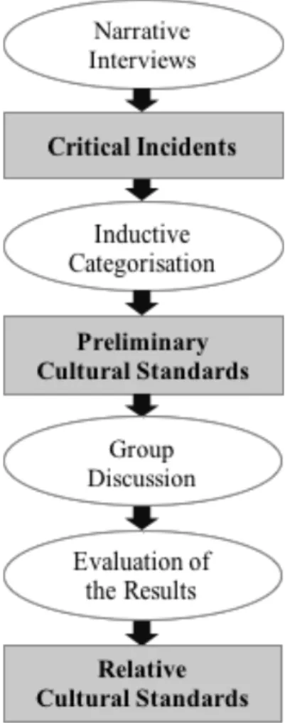 Figure 7 - The identification process of cultural standards (Brueck and Kainzbauer, 2002) 