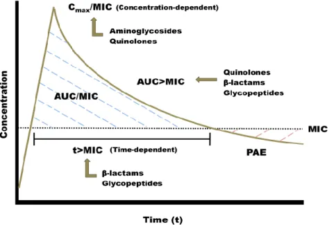 Figure 6: Concentration-versus-time curve with MIC superimposed and pharmacokinetic and pharmacodynamic  markers (Adapted from McKinnon &amp; Davis, 2004)