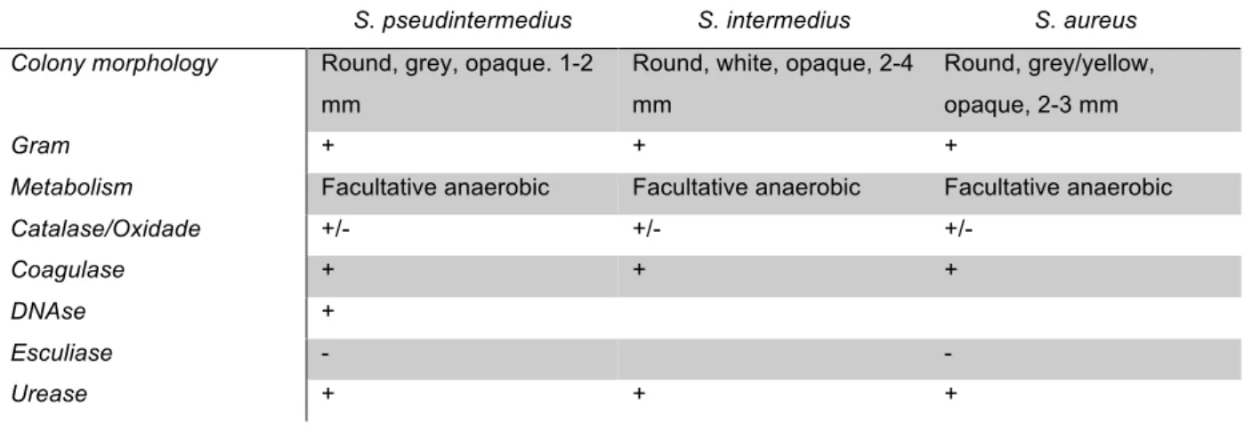 Table 1: Some biochemical characteristics of Staphylococcus coagulase positive species