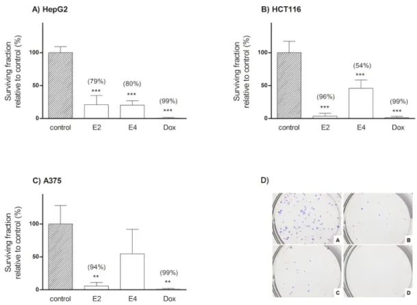 Figure 3. Clonogenic survival of HepG2 (A), HCT116 (B) and A375 (C) cells after pre-treatment with  extracts E2, E4 and Dox (all three at IC 50 ) for 48 h, followed by 10 days in fresh medium