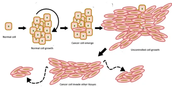 Figure 1 - Cancer cell growth. 