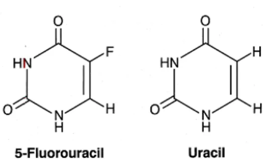Figure 6 - Chemical structure of fluorouracil and uracil. 