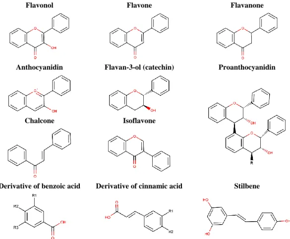 Figure 1. Chemical structures of the main classes of polyphenols. 