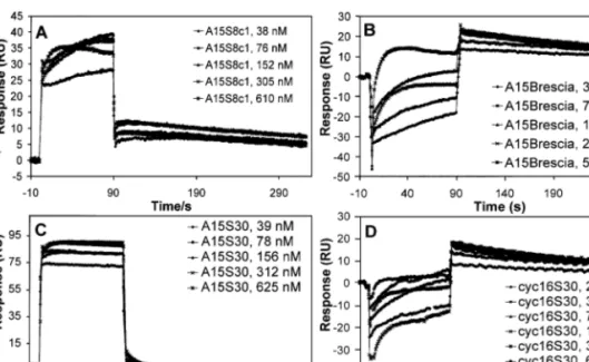 Fig. 1. Sensorgrams for the interactions between immobilized mAb 4C4 and peptides: (A) A15S8c1, (B) A15Brescia, (C) A15S30, (D) cyc16S30.
