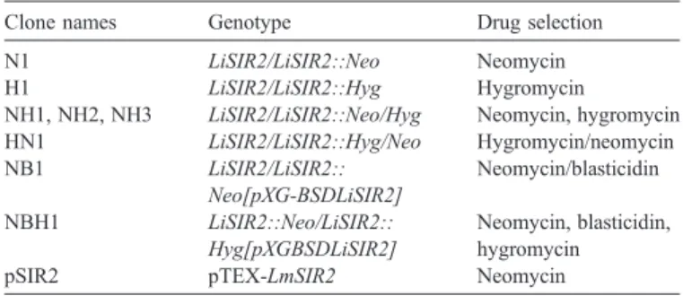 Fig. 3. Karyotype analysis of Leishmania clones. 5.10 8 promastigote clones were embedded in agarose plugs and chromosomes were separated by CHEF electrophoresis in 0.7% agarose gel (see Materials and methods for details)