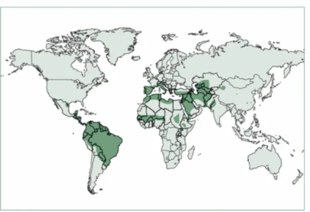 Figure 5. Worldwide distribution of the cutaneous leishmaniasis. 90% of CL occurs in Afghanistan,  Algeria, Brazil, Pakistan, Peru, Saudi, Arabia and Syria