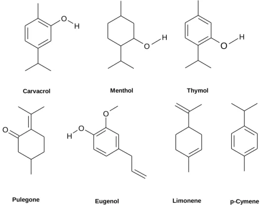 Figure 2 – Chemical structure of several metabolites: carvacrol, menthol and thymol, pulegone,  eugenol, limonene and p-cymene