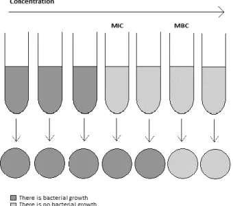 Figure 6 - Schematic representation of MIC and MBC. With the increasing of the concentration of  antimicrobial solutions, the biomass present will decrease until the achievement of MIC and MBC