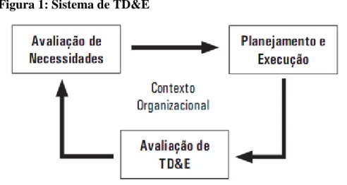 Figura 1: Sistema de TD&amp;E 