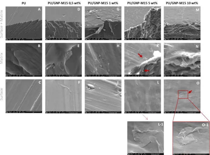 Figure  17.  PU/GNP-M15  composite  SEM  images  at  different  magnifications.  Lower  magnification  (1 000×)  images  were  taken  to  see  both  the  surface  and  the  transversal  fracture  (Surface  +  Matrix)  while  higher  magnification  (10 000×