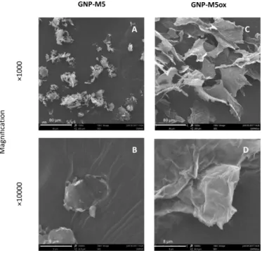 Figure 9. SEM images of the GNP-M5 powder and lyophilized GNP-M5ox. Pictures taken at the magnification  of ×1000 and ×10000 (Scale bar = 80 µm and 8 µm, respectively)
