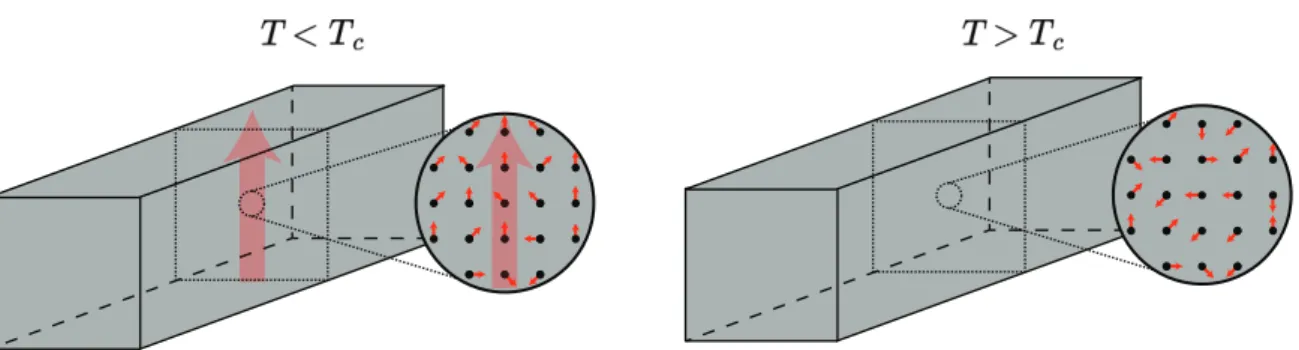 Figura 1: Representação da magnetização de uma liga metálica como soma das magneti- magneti-zações de seus átomos