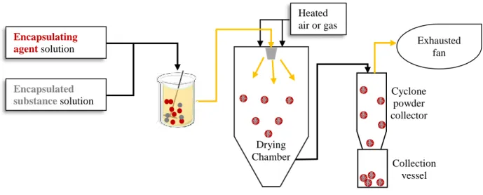 Figure 8 - Schematic representation of a spray dryer process  Heated air or gasEncapsulating agent solutionEncapsulated substance solutionDrying Chamber Cyclone powder collector Exhausted fanCollection vessel
