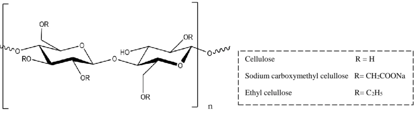 Figure 10 - Chemical structure of cellulose, sodium CMC and EC polymers 
