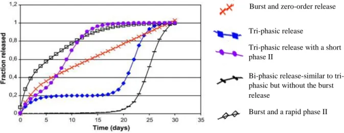 Figure 12 - Release profiles consisting of different phases for PLGA capsules [130]. 