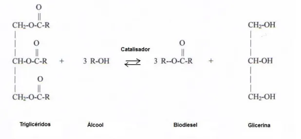 Figura 1 - Reacção de transesterificação [3]. 