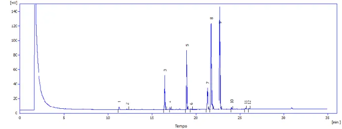 Figura 10 - Cromatograma da amostra de biodiesel. 