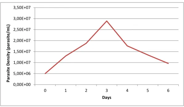 Figure 2 – Growth curve of Leishmania infantum 