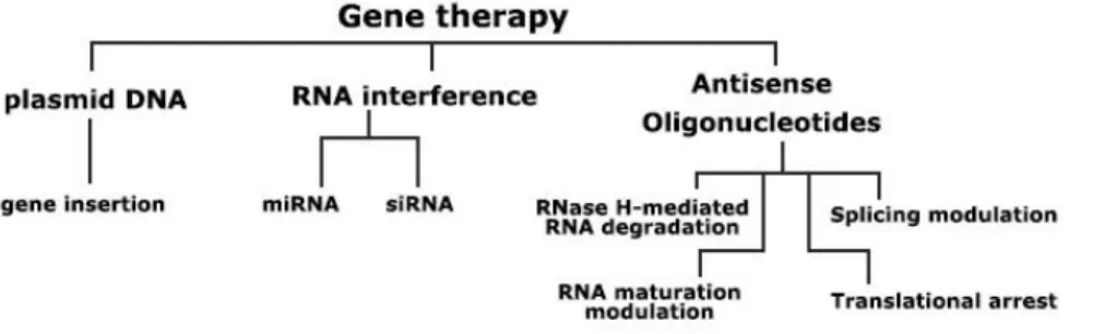 Figure 2 – Most frequently used gene therapy approaches. 