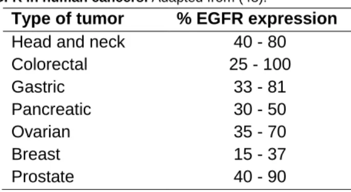 Table 1 - Expression of EGFR in human cancers. Adapted from (48). 