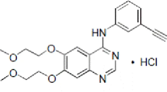 Figure 8 - Molecular structure of erlotinib. Adapted from (8). 