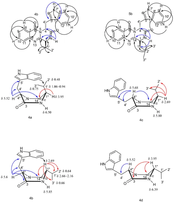 Figure 2. Most relevant chemical shifts and key HMBC correlations of the protons to the stereogenic centers on the piperazine ring of 4a–d.