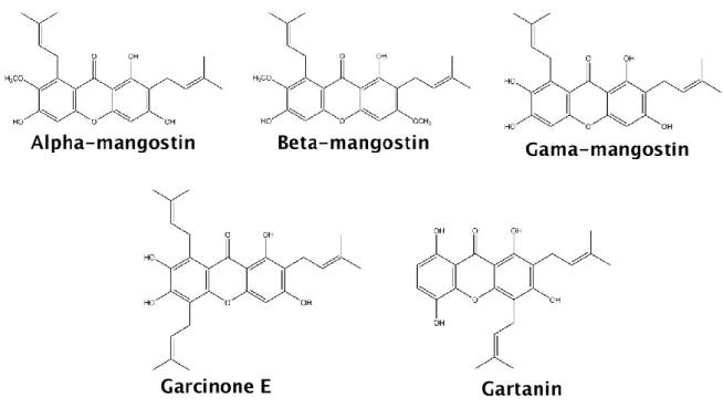 Figure 2: Structure of the main xanthones from mangosteen 