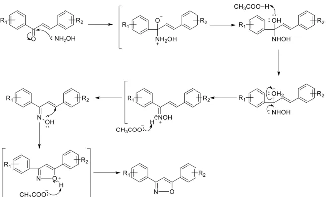 Table 5. Reaction conditions for the synthesis of isoxazole derivatives P0-iso and P4-iso