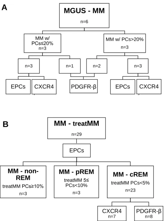 Figure  5:  Schematic  representation  of  the  organization  of  the  groups  of  patients