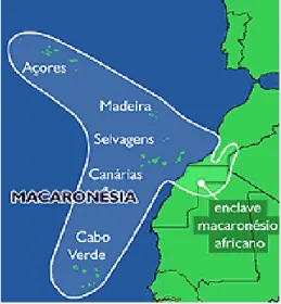 Figura 2.4. Região  da Macaronésia. 