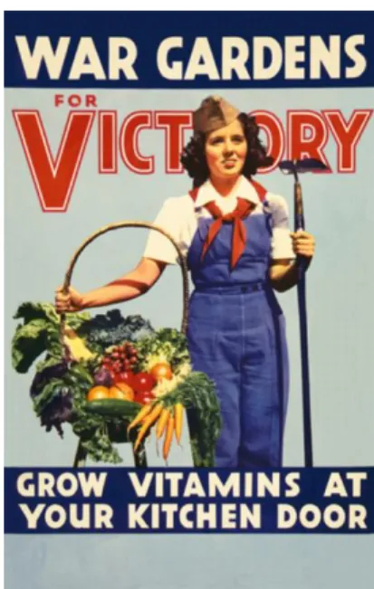 Figura  3.4. Cartaz do programa ‘Victory Garden’. 