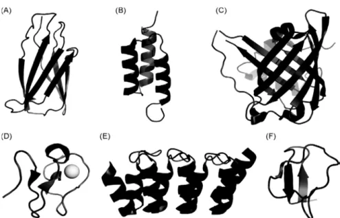 Fig.  4  -  Representative  illustrations  of  a  selection  of  scaffold  proteins  applied for  generation  of  novel  affinity  proteins