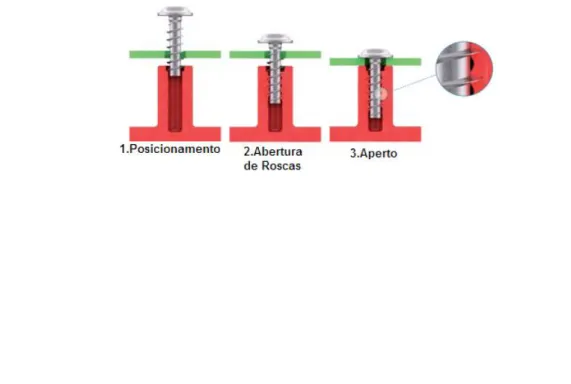 Figura 3 - Fases do processo de aperto de um parafuso em função do ângulo (Catálogo Betzer)
