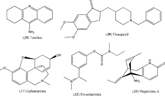 Figura 3. Inibidores clássicos da AChE de origem sintética e natural. 
