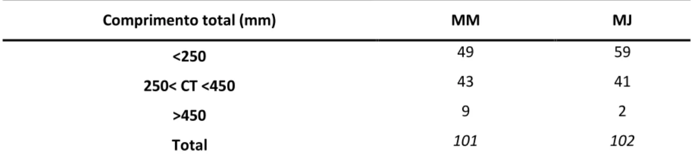 Tabela 2.2. Número de indivíduos, por classe de comprimento total (CT), amostrados durante as amostragens  de Verão  Comprimento total (mm)  MM  MJ  &lt;250  49  59  250&lt; CT &lt;450  43  41  &gt;450  9  2  Total  101  102 