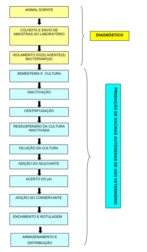 Figura 1 - Fluxograma da produção de vacinas autógenas de uso veterinário 