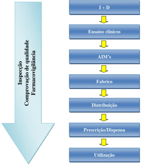 Figura 8: Etapas do ciclo de vida do medicamento que necessitam de controlo por parte das  autoridades competentes