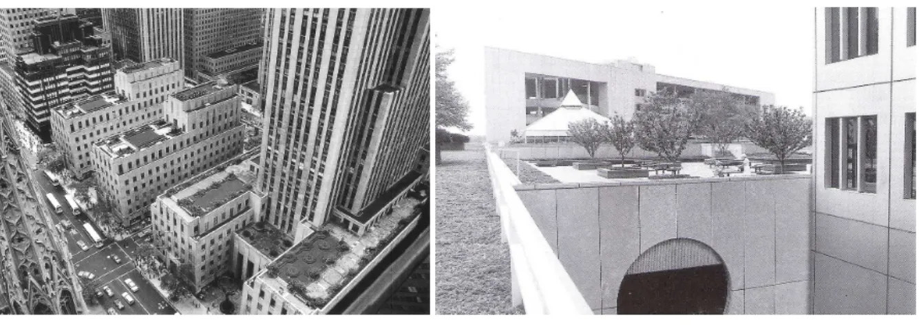 Fig. 19 e 20 – Olhando para baixo do Palazzo d’Italia e do Rockefeller Center em Nova Iorque (à  esquerda), pode ver-se facilmente como os espaços verdes sobre cobertura melhoram a qualidade  visual da avenida; A empresa de papel Champion em Stamford, EUA 