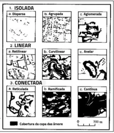 Figura 4 - Esquema de classificação para a cobertura vegetal urbana proposto por Jim (1989), edição e  tradução da autora