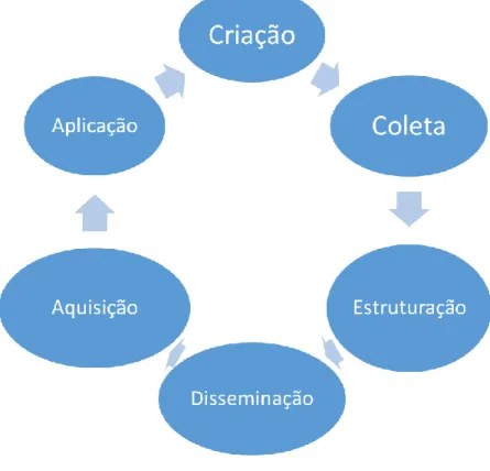 Figura 8 - Ciclo de vida do conhecimento em uma organização 