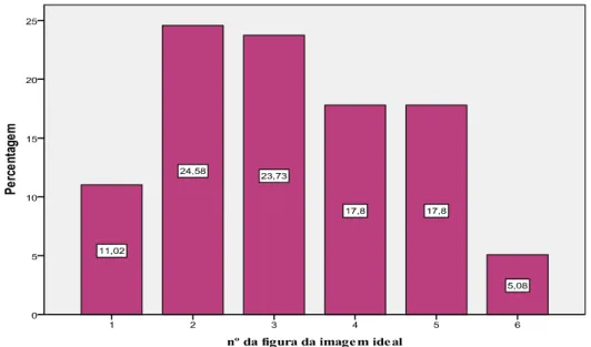 Figura 2: Percepção da imagem ideal 