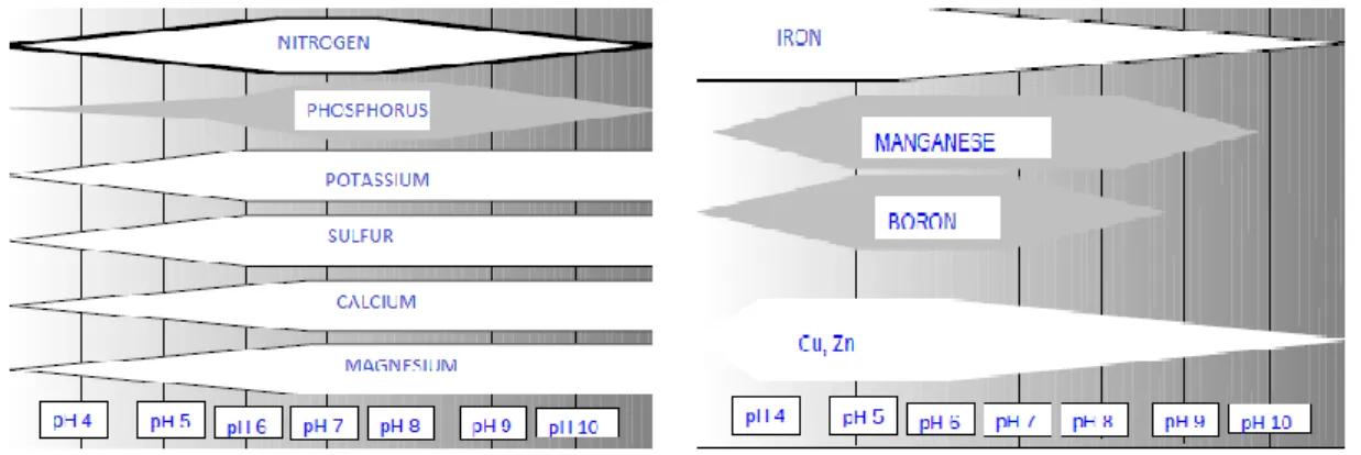 Figure 1.3.2.1 Nutrients availability at different pH values 