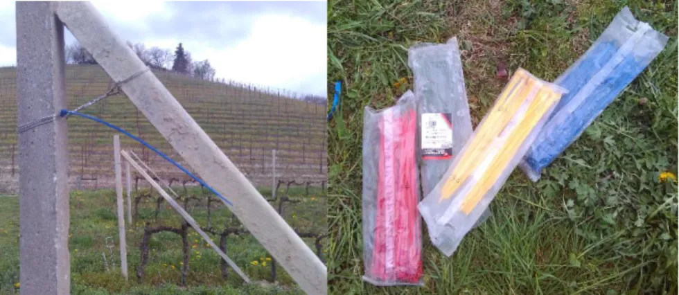 Figure 2.2.2 Cable ties used for the trials to distinguish treatments. Photos: Oliviero Carbone 