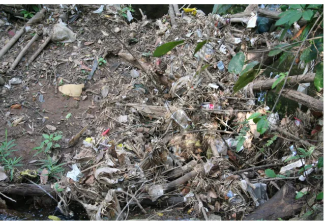 Figura 9 - acumulação de detritos/lixo no córrego Cortado. Abr/2007 