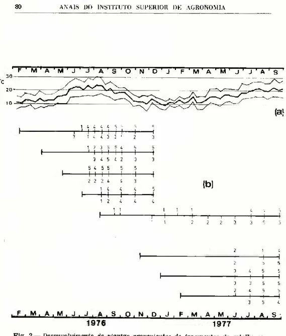 Fig. 2 —  Desenvolvimento de plantas provenientes de fragmentos de estolho com  um nó, plantados em datas diferentes,  (a)  Temperatura do ar máxima, média e  minima por decêndios