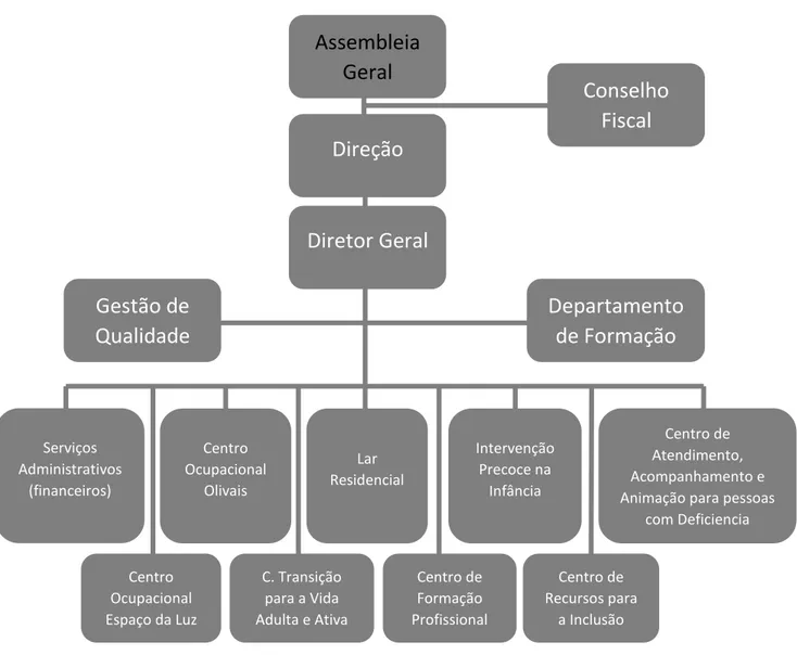 Figura 1:Organograma da CERCILisboa (CERCILisboa, 2014) 