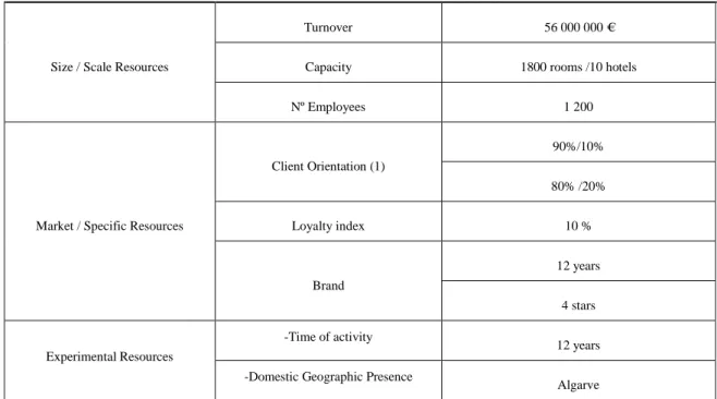 Table 13 summarizes the main elements collected in primary and secondary sources concerning the main firm  resources in December 2000 